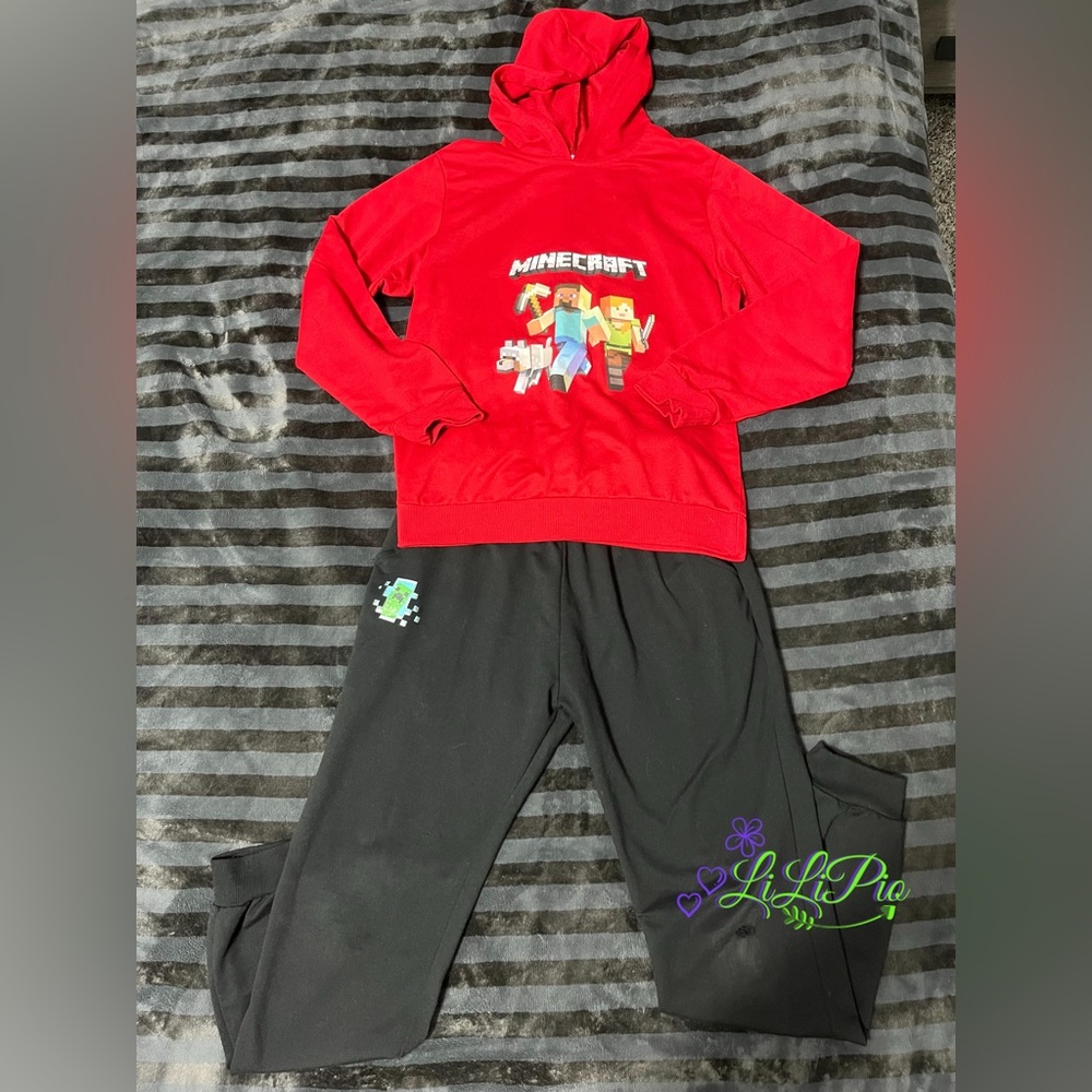 2pc Minecraft Sweatsuit